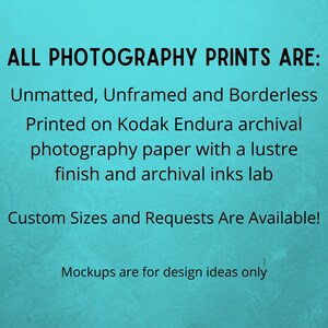 May include: Text on a turquoise background that reads: "ALL PHOTOGRAPHY PRINTS ARE: Unmatted, Unframed and Borderless Printed on Kodak Endura archival photography paper with a lustre finish and archival inks lab Custom Sizes and Requests Are Available! Mockups are for design ideas only"