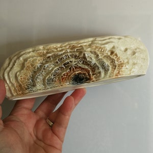 May include: A white ceramic dish with a textured, layered design in shades of brown, gray, and black. The dish is oval shaped and has a smooth, glazed finish.