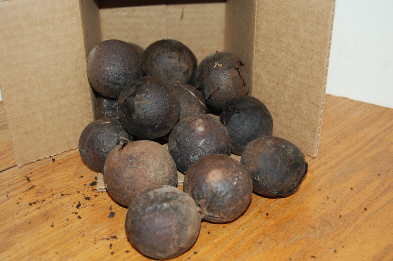 Peut inclure: Une bo&icirc;te en carton d&eacute;bordant d'un tas de fruits d'agrumes secs brun fonc&eacute;.