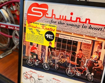 The schwinn hot sale store