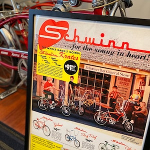 Old schwinn bowflex shop