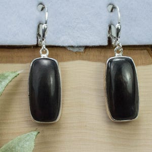 Shungite Earrings; Natural Untreated Shungite; 21 x 12mm