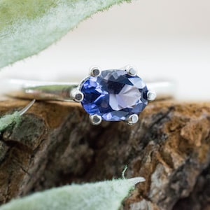 May include: A silver ring with a large, oval-cut, blue gemstone. The gemstone is set with six prongs. The ring is displayed on a piece of wood, with green foliage in the foreground.