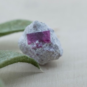 May include: A raw, light gray mineral specimen featuring a single, rectangular, translucent magenta crystal embedded in its surface. The crystal has a flat, smooth top edge and a deep pinkish-red hue, contrasting with the rough, textured stone.