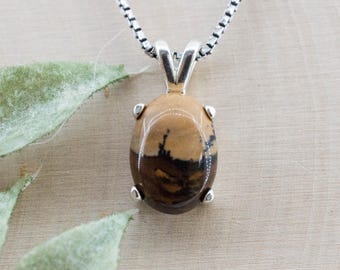 Biggs Jasper Pendant; Natural Untreated Oregon Picture Jasper; 5.330cts