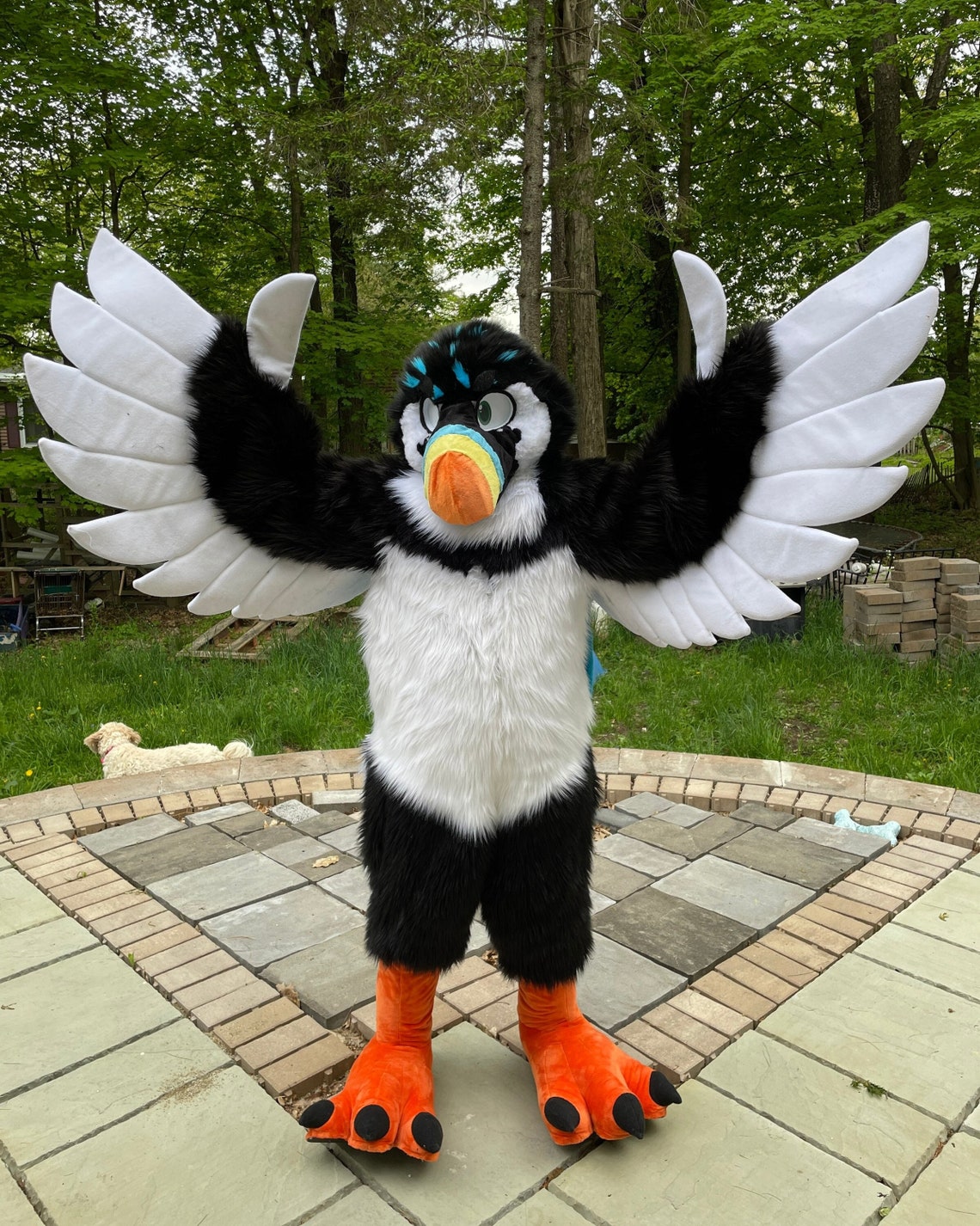 Bird Wingarms