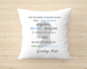 Cadeau pour coussin décoratif lettre Newt's