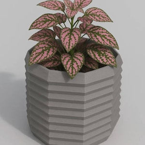 May include: A potted plant with pink and green leaves sits in a gray, geometric planter. The plant's leaves have a speckled pattern. The planter has a textured, ridged design and a hexagonal shape. The background is a plain white.