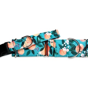 Lil' Cuties Mandarines on Teal CANVAS Dog Collar (Martingale, Buckle, or Tag)