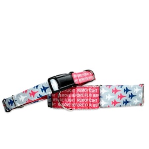 Baby and the Jetz CANVAS Pet Collar (Martingale, Buckle, or Tag)