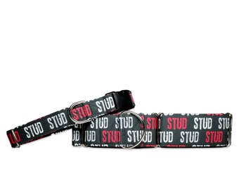 Stud (Black, White and Red) CANVAS Dog Collar (Martingale, Buckle, or Tag)