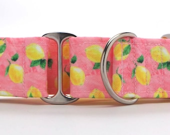 Pink Lemonade CANVAS Dog Collar (Martingale, Buckle, or Tag)