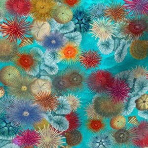 May include: A turquoise blue fabric with a repeating pattern of colorful sea urchins and starfish. The fabric has a textured, linen-like appearance.