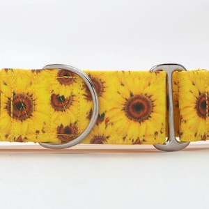 Collier pour chien en toile tournesol Field (martingale, boucle ou plaque)