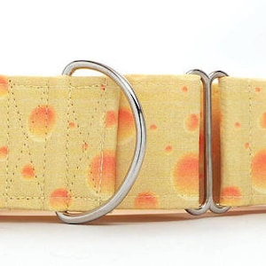 Say Cheese CANVAS Dog Collar Martingale, Buckle or Tag image 1