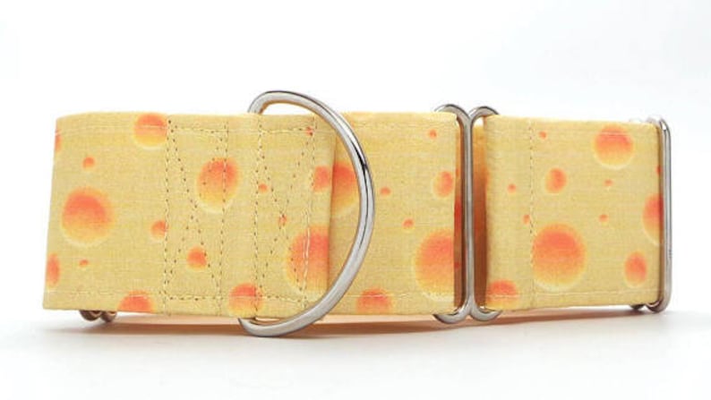 Say Cheese CANVAS Dog Collar Martingale, Buckle or Tag image 1