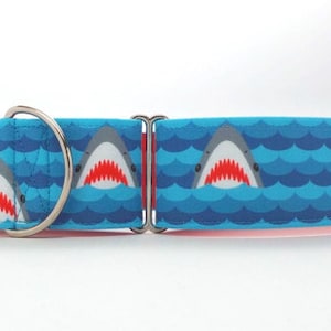 Shark Attack CANVAS Pet Collar (Martingale, Buckle, or Tag)