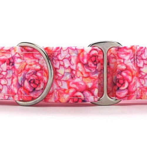 Jurassic Roses AQUA CANVAS Dog Collar martingale Buckle or Etsy