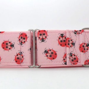 Collier pour chien TOILE Coccinelles ROSE (martingale, boucle ou plaque)