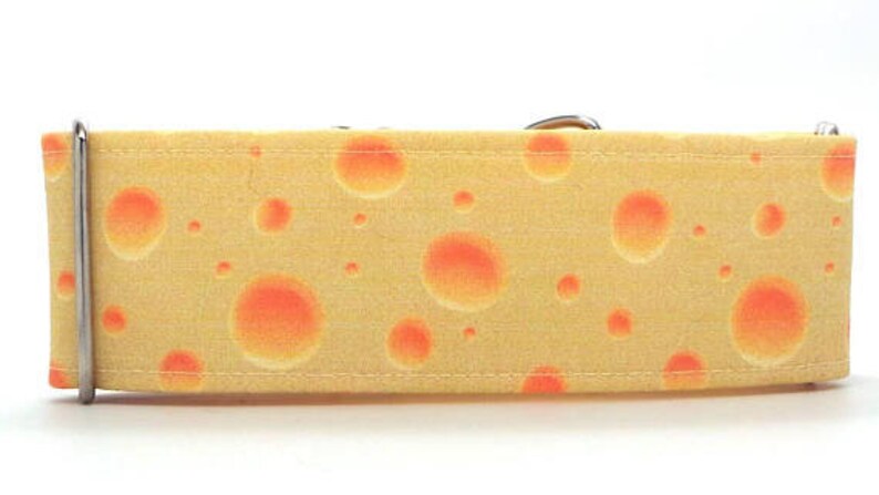 Say Cheese CANVAS Dog Collar Martingale, Buckle or Tag image 2