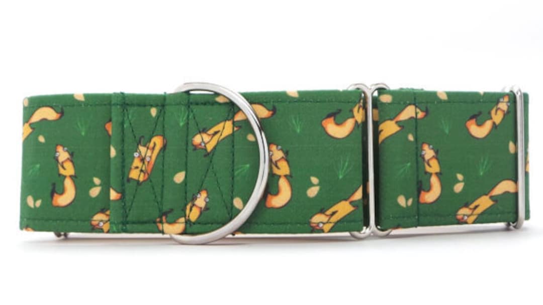 Green SQUIRREL CANVAS Dog Collar martingale, Buckle or Tag Etsy