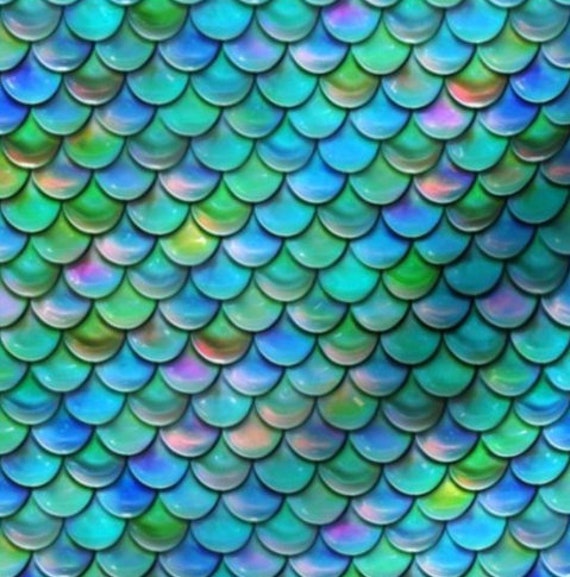 Mermaids Dream CANVAS Pet Collar martingale Buckle or Tag Etsy