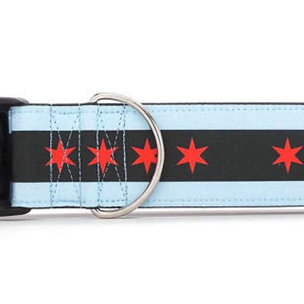 Windy City at Night CANVAS Dog Collar (Martingale, Buckle or Tag)