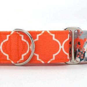 Mod Floral with Orange Quatrefoil CANVAS Dog Collar (Martingale, Buckle or Tag)