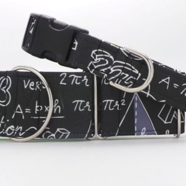 What The Fraction?! CANVAS Dog Collar (Martingale, Buckle, or Tag)