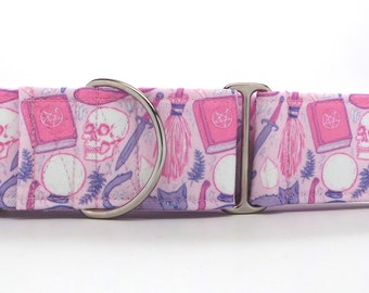 Spellbound PASTELS CANVAS Dog Collar (Martingale, Buckle, or Tag)