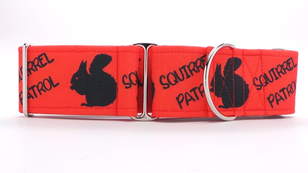 Squirrel Patrol RED CANVAS Dog Collar martingale, Buckle, or Tag Etsy