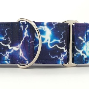 Electrifying CANVAS Dog Collar (Martingale, Buckle or Tag)