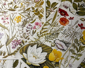 Strony książki Vintage Flower Botanical - papierowe efemerydy do dziennika - dziennik Mix Junk, artykuły papiernicze, album ze scrapbookingiem, kolaż, talerz kwiatowy