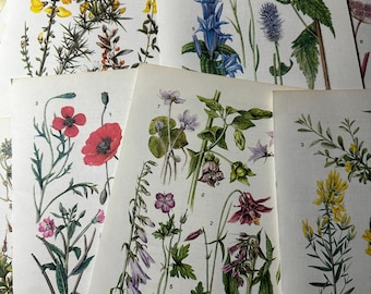 Strony książki z motywem botanicznym "Vintage Flower" - Papierowe pamiątki - Pamiętnik Mix Junk Journal Artykuły papiernicze Album do scrapbookingu Kolaż Talerz Kwiatowy