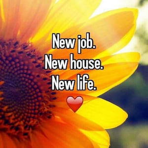 May include: A yellow sunflower with a red heart in the center. The text "New job. New house. New life." is written on the sunflower.