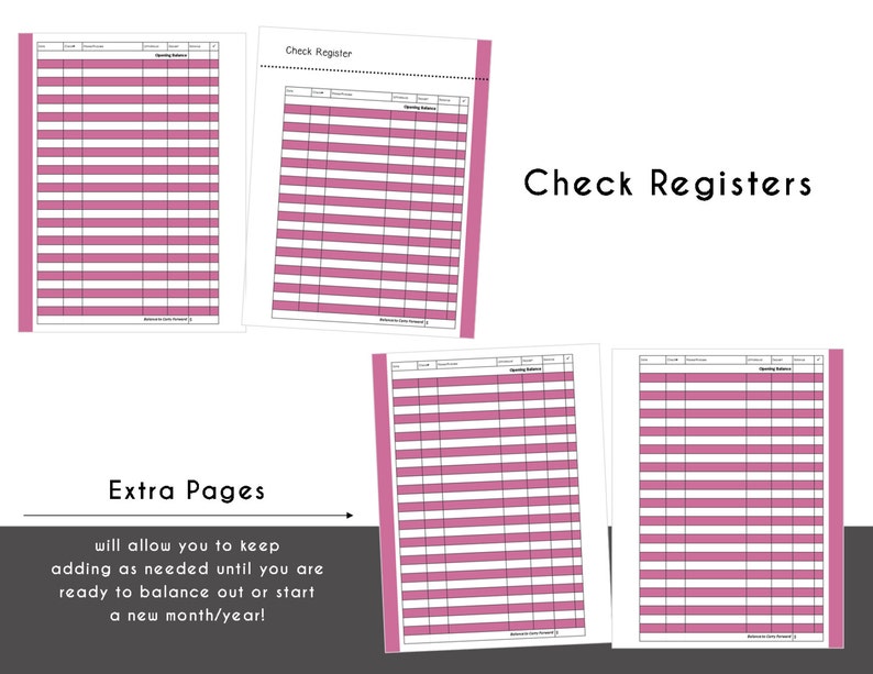 CLASSIC Happy Planner FINANCE Bundle Check Register, Monthly Budget, Debt Payoff Tracker, Debtor Contacts Passwords Printable PDF Raspberry image 4