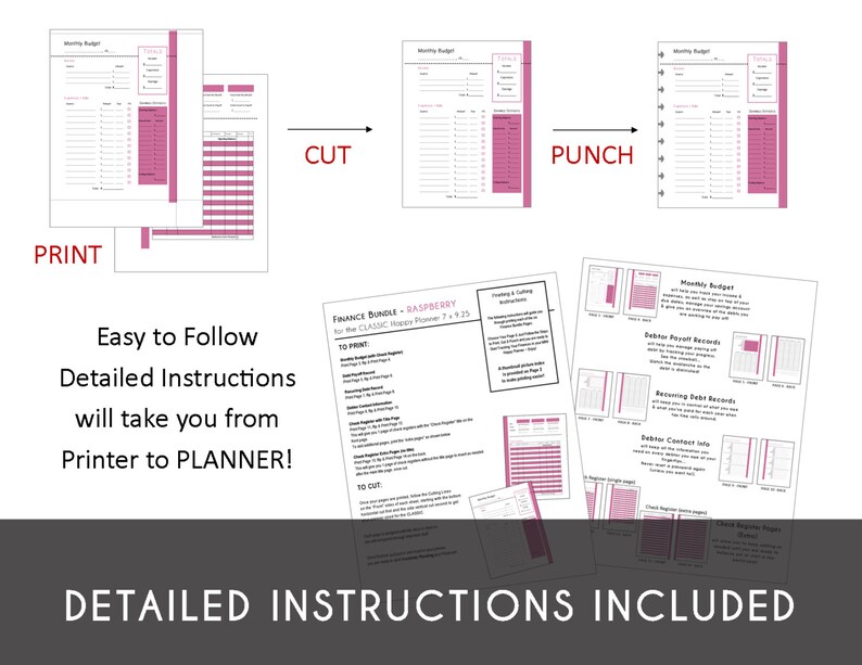 CLASSIC Happy Planner FINANCE Bundle Check Register, Monthly Budget, Debt Payoff Tracker, Debtor Contacts Passwords Printable PDF Raspberry image 5