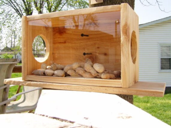 New Animal Cedar Squirrel Feeder Wooden Handcrafted Feeder Etsy
