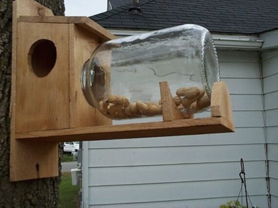 New Squirrel Feeder Wood Pet Handcrafted Feeder Cedar Gallon Etsy