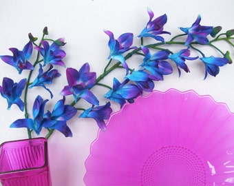 orchids galaxy stems dendrobium purple orchid silk singapore violet mo something