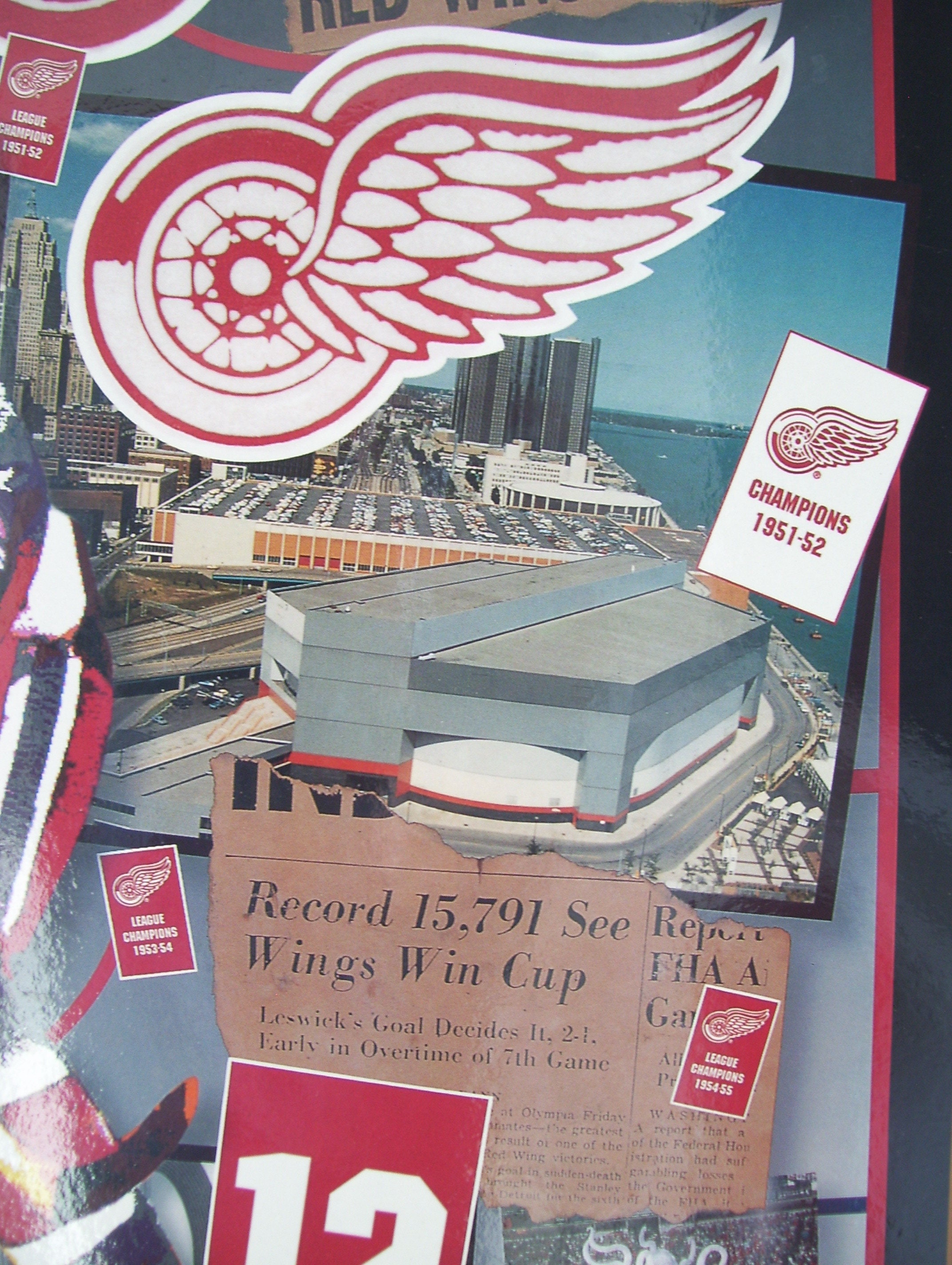 Detroit Red Wings Hockey Poster 31
