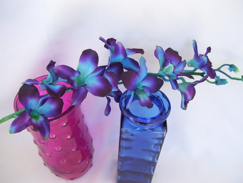 Vibrant Blue CA Dendrobium Orchids Silk Flower Stems Galaxy | Etsy