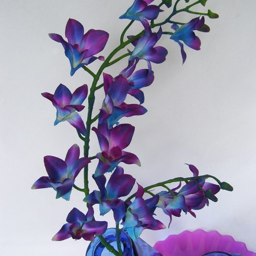 Vibrant Blue CA Dendrobium Orchids Silk Flower Stems Galaxy Etsy