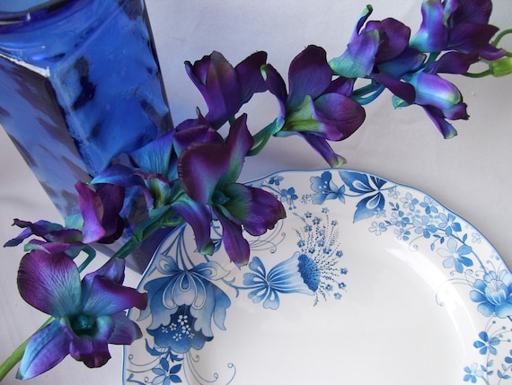 Vibrant Blue CA Dendrobium Orchids Silk Flower Stems Galaxy