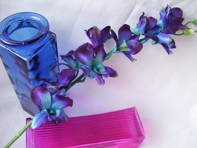 Vibrant Blue CA Dendrobium Orchids Silk Flower Stems Galaxy Etsy
