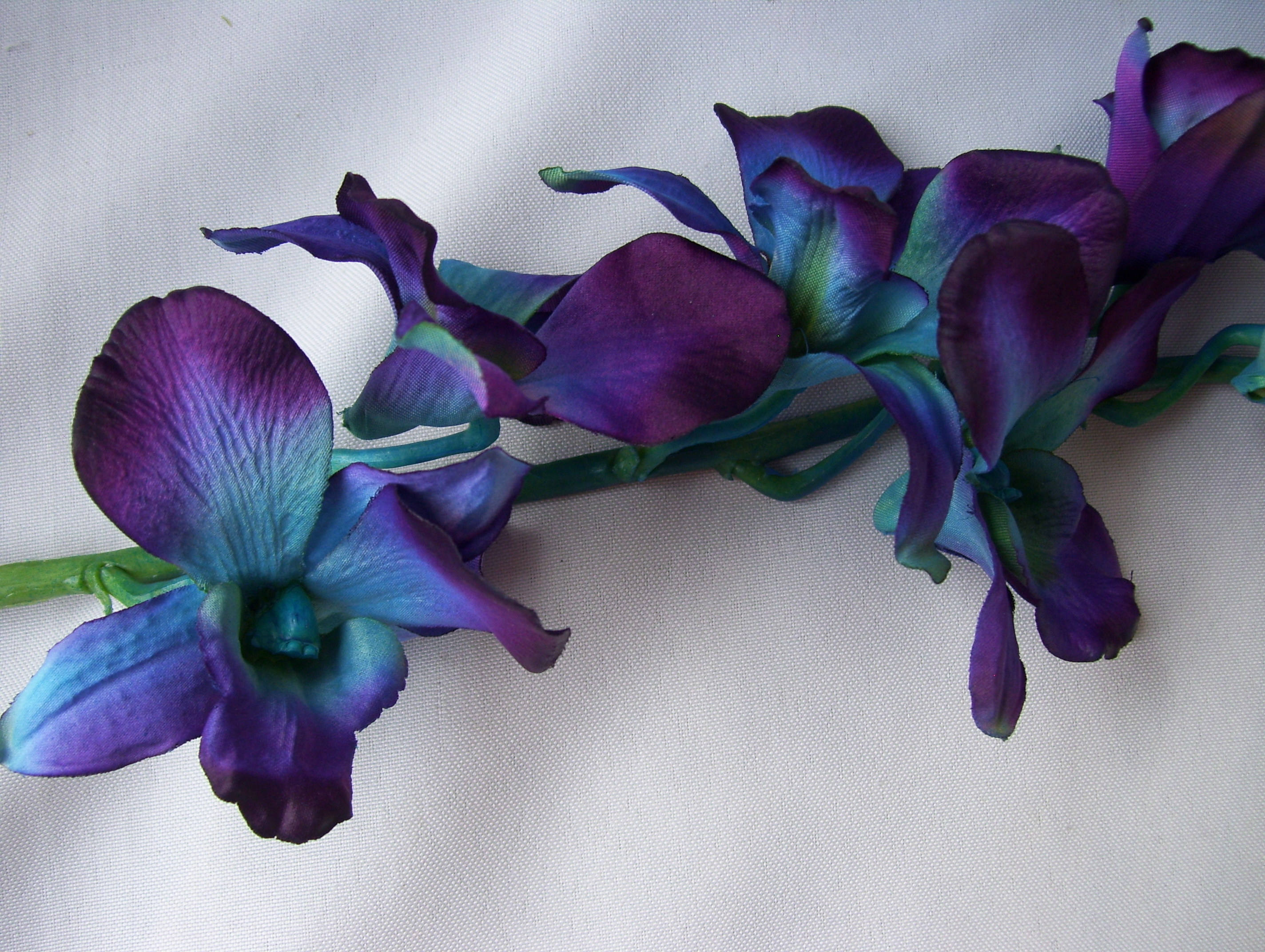 Vibrant Blue CA Dendrobium Orchids Silk Flower Stems Galaxy Etsy Canada