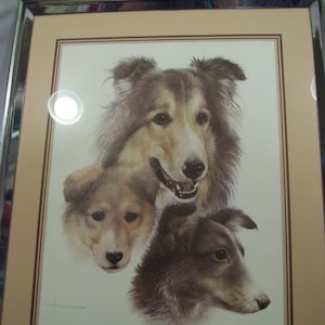 Collie Dog Art Scottish Shepard Framed Art Artist Signed Silver Metal Frame Sheltie Shetland Lassie Dog Lover
