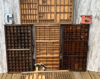 Hamilton Wood Printers Drawer Typeset Printers Tray Letterpress Curio Shelf Sections YOUR CHOICE Piedmont