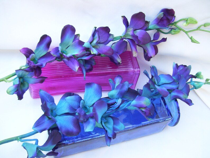 Vibrant Blue CA Dendrobium Orchids Silk Flower Stems Galaxy | Etsy
