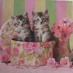 4 pieces Paper napkins, Cats in box, #5071, decoupage tissue, baby shower, party supplies, cat party, craft table decoration, birthday gift.